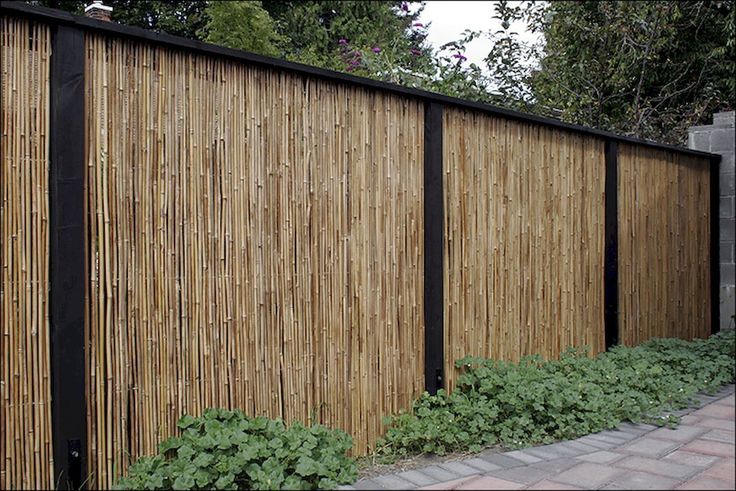 Cheap Privacy Fence Ideas for Your Home