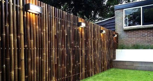 Bamboo Fencing