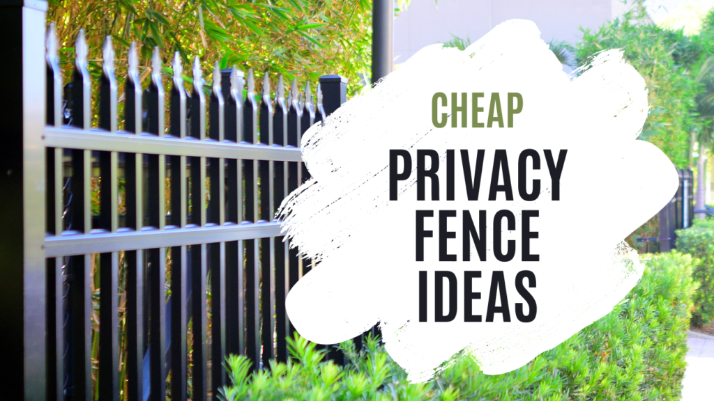 Cheap Privacy Fence Ideas for Your Home