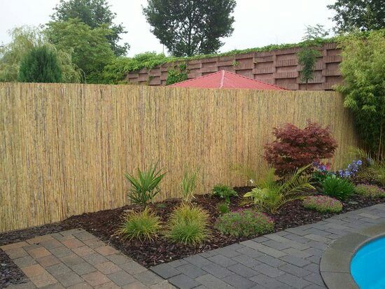 Reed Fence